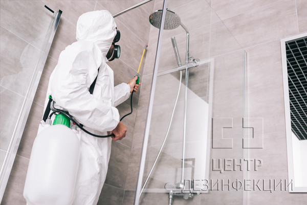 Санитарная обработка от тараканов в квартире  в Ивантеевке